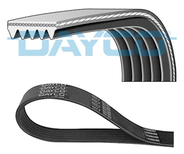 Curea transmisie cu caneluri DAYCO 5PK890 — FORD KUGA I 2.5 4x4 2012
