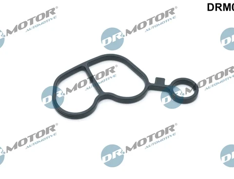 Garnituri, carcasa filtru ulei LIZARTE DRM01222 — Skoda Fabia